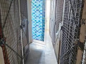 Pronájem bytu 1+kk, Brno - Lesná, Halasovo náměstí, 21 m2