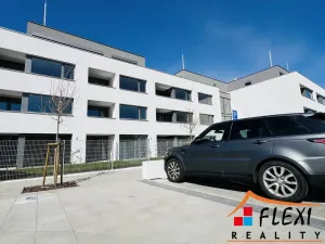 Pronájem bytu 1+kk, Ostrava, U Hájenky, 29 m2