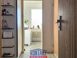 Pronájem bytu 1+1, České Budějovice, Netolická, 34 m2