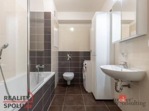 Pronájem bytu 1+kk, Brno, Říčanská, 33 m2