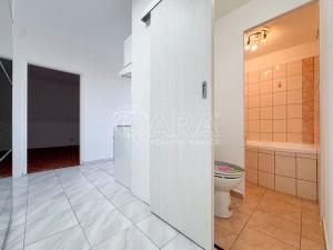 Pronájem bytu 2+1, České Budějovice - České Budějovice 2, K. Šafáře, 47 m2