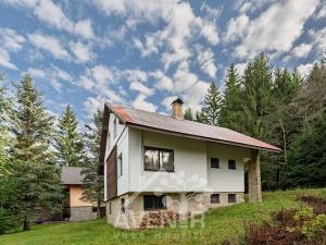 Prodej chalupy, Nová Ves nad Nisou, 192 m2