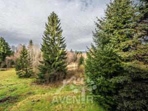 Prodej chalupy, Nová Ves nad Nisou, 192 m2