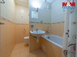 Pronájem bytu 1+kk, Orlová, F. S. Tůmy, 32 m2