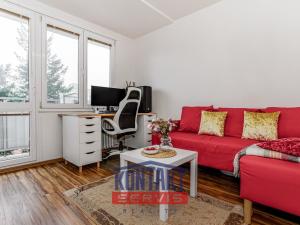 Prodej bytu 1+kk, České Budějovice, Čéčova, 65 m2