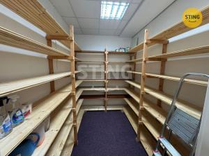 Pronájem bytu 3+kk, Frýdek-Místek, Havlíčkova, 118 m2