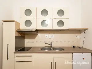 Pronájem bytu 2+kk, Praha - Žižkov, Víta Nejedlého, 43 m2