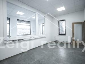 Pronájem skladu, Bojkovice, 234 m2