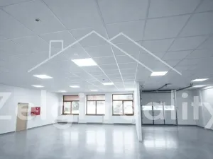 Pronájem skladu, Bojkovice, 234 m2