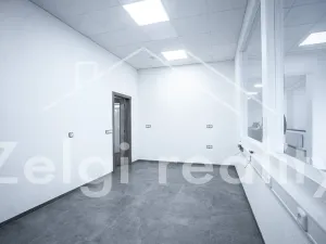 Pronájem skladu, Bojkovice, 234 m2