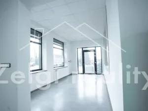 Pronájem skladu, Bojkovice, 234 m2