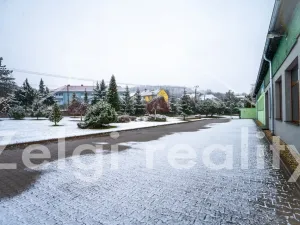 Pronájem skladu, Bojkovice, 234 m2