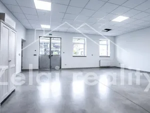 Pronájem obchodního prostoru, Bojkovice, 302 m2