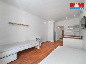 Pronájem bytu 1+kk, Plzeň, Vrchlického, 27 m2