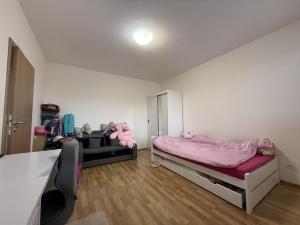 Pronájem bytu 3+kk, Pardubice - Zelené Předměstí, Hronovická, 100 m2