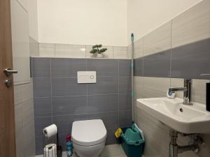 Pronájem bytu 3+kk, Pardubice - Zelené Předměstí, Hronovická, 100 m2