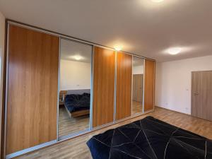 Pronájem bytu 3+kk, Pardubice - Zelené Předměstí, Hronovická, 100 m2