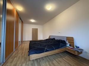 Pronájem bytu 3+kk, Pardubice - Zelené Předměstí, Hronovická, 100 m2