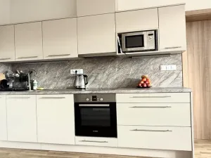 Pronájem bytu 3+kk, Pardubice - Zelené Předměstí, Hronovická, 100 m2