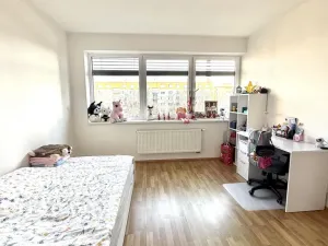 Pronájem bytu 3+kk, Pardubice - Zelené Předměstí, Hronovická, 100 m2