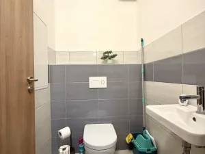 Pronájem bytu 3+kk, Pardubice - Zelené Předměstí, Hronovická, 100 m2