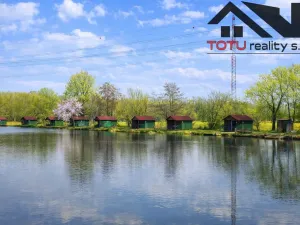 Prodej rybníku, Černožice, 44772 m2