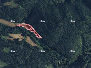 Prodej louky, Hynčina, 128718 m2