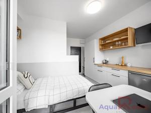 Pronájem bytu 1+kk, Karlovy Vary, Fibichova, 14 m2