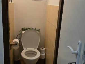 Pronájem pokoje, Praha - Holešovice, Bubenská, 15 m2