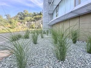 Prodej bytu 3+kk, Brno, Bystrcká, 75 m2