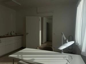 Prodej komerční nemovitosti, Praha - Vokovice, K Červenému vrchu, 47 m2