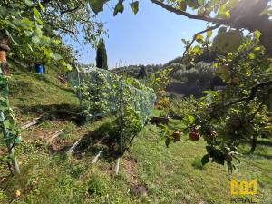 Prodej rodinného domu, Bělá pod Bezdězem, Táborová, 2050 m2