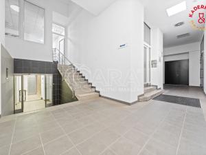 Prodej obchodního prostoru, Brno, Lidická, 153 m2