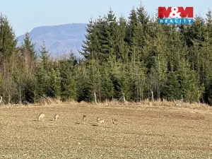 Prodej zahrady, Hronov, 6000 m2