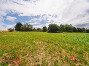 Prodej pozemku pro bydlení, Planá, 961 m2