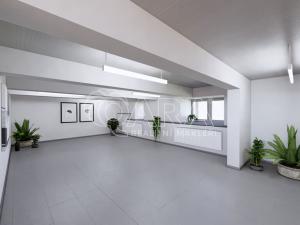 Prodej obchodního prostoru, Brno, Lidická, 326 m2