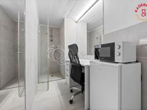 Prodej obchodního prostoru, Brno, Lidická, 172 m2