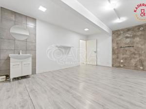 Prodej obchodního prostoru, Brno, Lidická, 172 m2