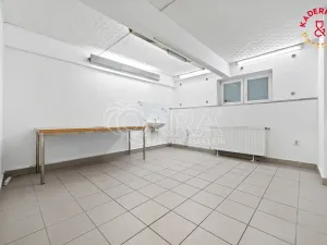 Prodej obchodního prostoru, Brno, Lidická, 172 m2