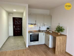 Pronájem bytu 1+kk, Ostrava, Francouzská, 29 m2