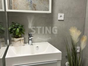 Pronájem bytu 1+kk, Ostrava, Francouzská, 29 m2