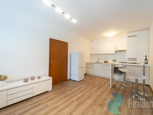 Prodej bytu 2+kk, Praha - Žižkov, U kněžské louky, 43 m2