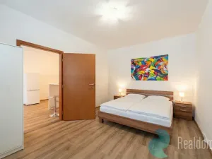 Prodej bytu 2+kk, Praha - Žižkov, U kněžské louky, 43 m2