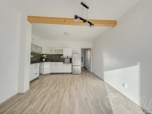 Prodej rodinného domu, Nová Ves pod Pleší, Světlá, 174 m2