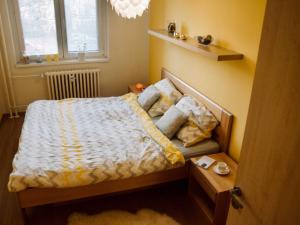 Pronájem bytu 3+1, Brno - Židenice, Bzenecká, 64 m2