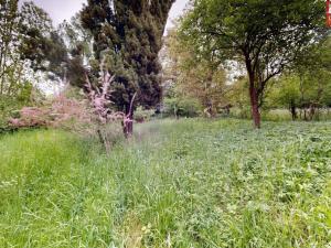 Prodej rodinného domu, Přerov, Čekyňská, 30 m2