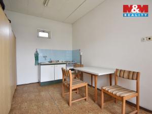 Pronájem obchodního prostoru, Mělník, Hleďsebská, 2357 m2