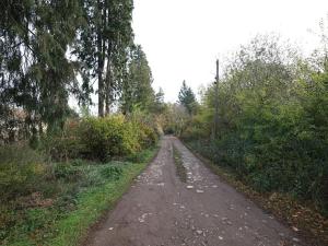 Prodej komerčního pozemku, Nespeky, 7717 m2