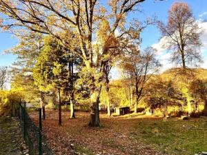 Prodej pozemku pro bydlení, Česká Kamenice, Lipová, 1696 m2