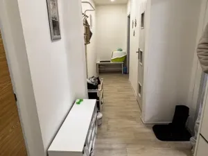 Prodej bytu 3+1, Děčín - Děčín I-Děčín, Kaštanová, 74 m2